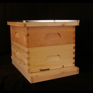 Assembled, Unpainted 2 Medium Starter Hive w/  Wood Bound Wired Wax
